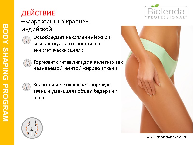www.bielendaprofessional.pl BODY SHAPING PROGRAM        ДЕЙСТВИЕ  –